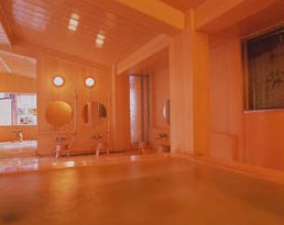 河口湖温泉　山岸旅館